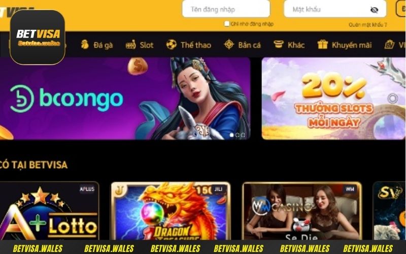 FAQ - Câu hỏi của người chơi về nhà cái