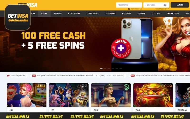 Nhà cái đã xây dựng được vị thế vững chắc và tích lũy nhiều kinh nghiệm quý giá