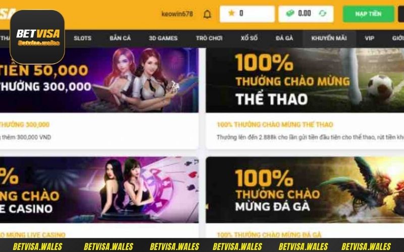 Giới thiệu về những khuyến mãi  Betvisa