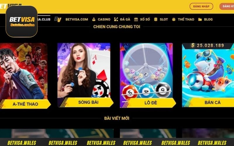 Betvisa luôn đặt mục tiêu mang lại cho người chơi những trải nghiệm dịch vụ